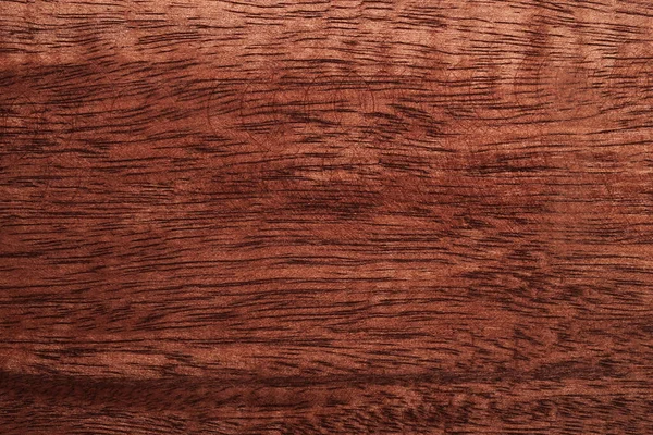 Matériau Planches Bois Texture Fond Haute Qualité Pour Travail Look — Photo