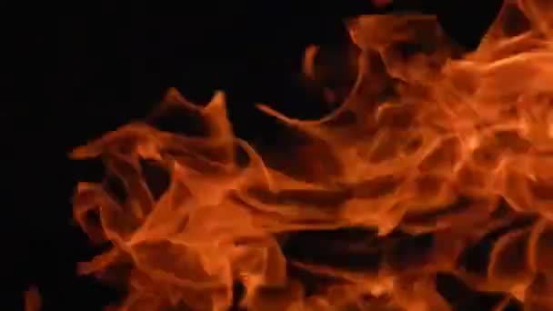 Burning fire flames on a black background closeup — Stock Video