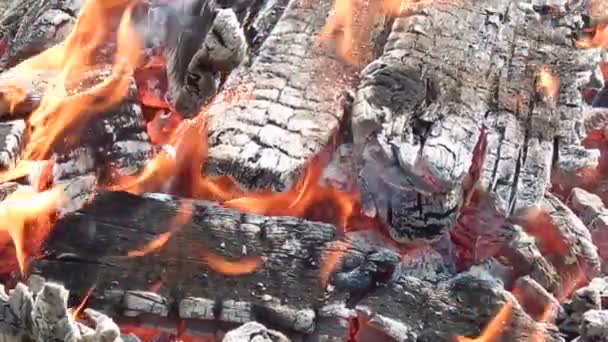 Spalování a doutnající oheň s uhlíky v přírodě detail — Stock video