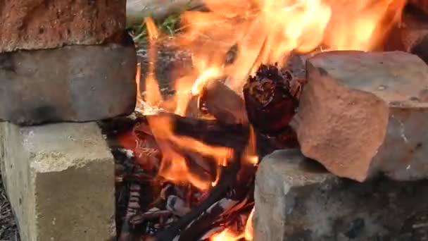 Brûler et brûler le feu avec des charbons dans la nature close-up — Video