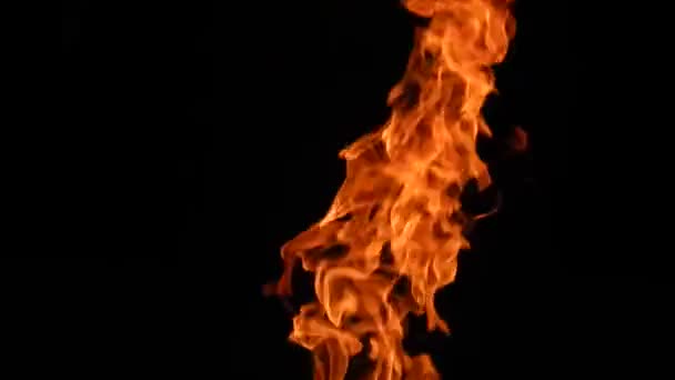 Brûler des flammes de feu sur un fond noir gros plan — Video