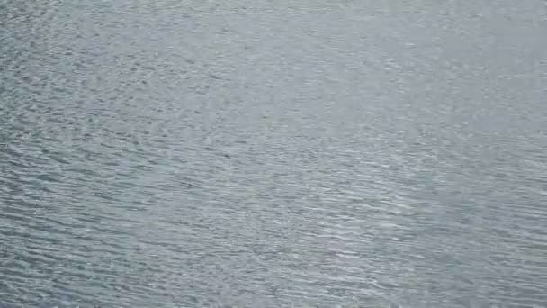 Vagues sur la rivière avec un petit vent 