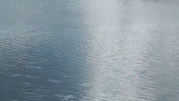 Vagues sur la rivière avec un petit vent 