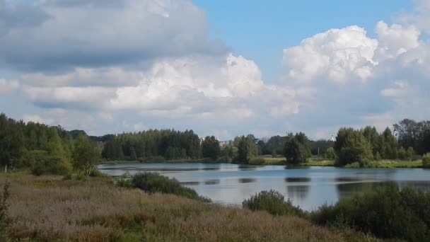 Прекрасне узбережжя озера, квітучі дерева і трава — стокове відео