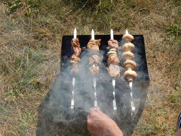 Rest and shish kebabs outdoors — Stock Photo, Image