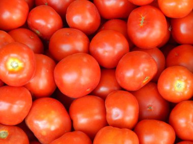 Domatesler yakın plan.