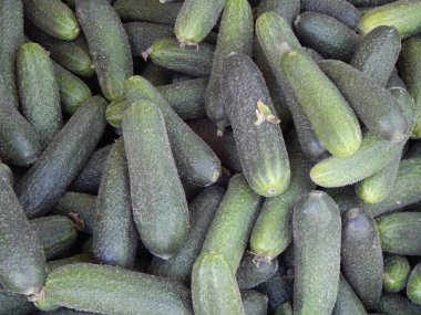 yakın çekim salatalık