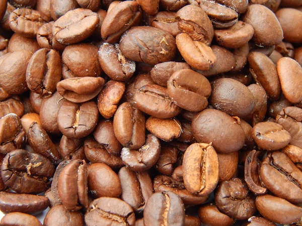 Кофе-бобы крупным планом — стоковое фото