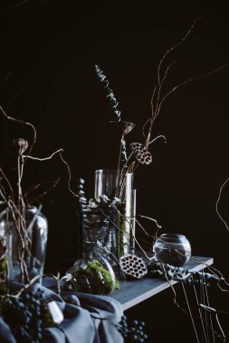 Modern, güzel, koyu renk iç mekan, oda grisi renk, gardırop rafları alışılmadık kasvetli dekorasyon masası kumaşı, kurutulmuş çiçekler, su dolu vazolar, yosun, dallar, alışılmadık bir tarz, cadılar bayramı.