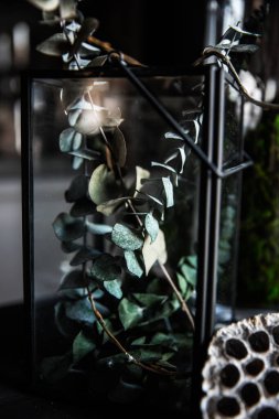 Modern, güzel, koyu renk iç mekan, oda grisi renk, gardırop rafları alışılmadık kasvetli dekorasyon masası kumaşı, kurutulmuş çiçekler, su dolu vazolar, yosun, dallar, alışılmadık bir tarz, cadılar bayramı.