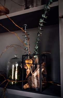 Modern, güzel, koyu renk iç mekan, oda grisi renk, gardırop rafları alışılmadık kasvetli dekorasyon masası kumaşı, kurutulmuş çiçekler, su dolu vazolar, yosun, dallar, alışılmadık bir tarz, cadılar bayramı.