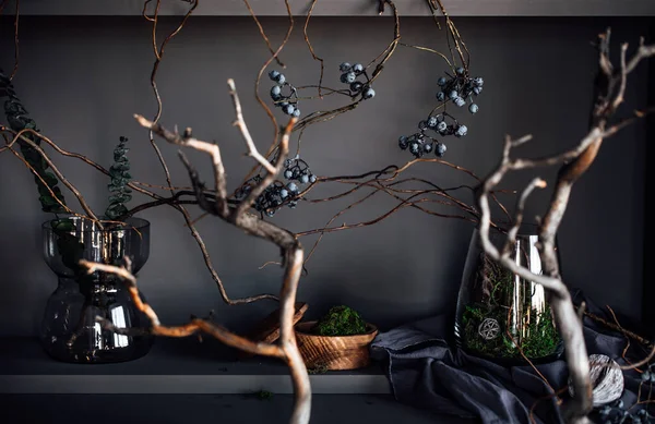 Moderno Hermoso Interior Oscuro Color Gris Habitación Estantes Armario Inusual — Foto de Stock