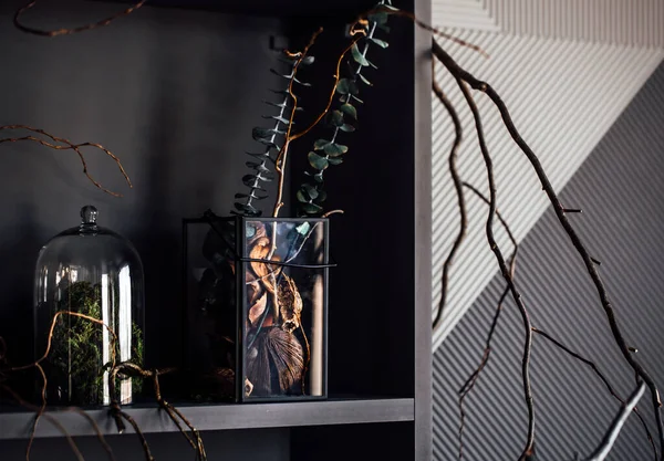 Modern Beautiful Dark Interior Room Gray Color Wardrobe Shelves Unusual — 图库照片