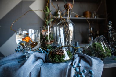 Sihirli kavram kırmızı çok renkli siyam balığı güzel kuyruk akvaryumu mavi su modern karanlık iç mekan gri gardırop raf masası kumaş kumaş kumaş kurutulmuş çiçek vazoları cadılar bayramı vazoları