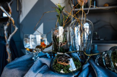 Sihirli kavram kırmızı çok renkli siyam balığı güzel kuyruk akvaryumu mavi su modern karanlık iç mekan gri gardırop raf masası kumaş kumaş kumaş kurutulmuş çiçek vazoları cadılar bayramı vazoları