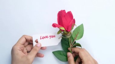 Beyaz arka planda gül çiçeğini tutan kadınlar 