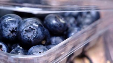 Taze böğürtlene su damlalarıyla yakın .