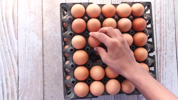 Fermer les œufs dans un bol. — Video