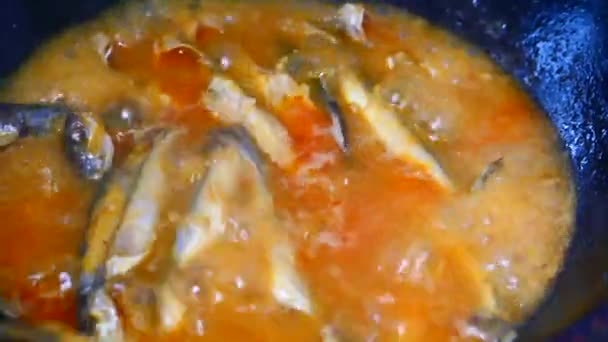 Close up de peixe caril indiano caseiro. — Vídeo de Stock