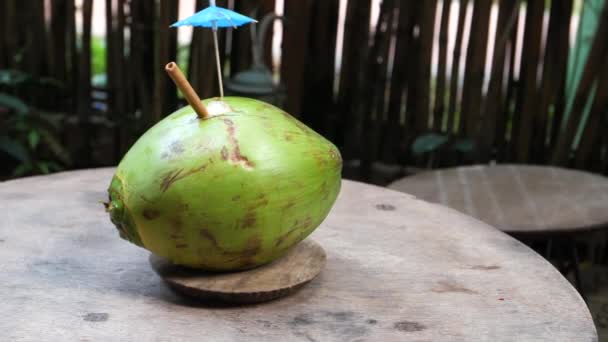 Женщины держат кокосовый сок в свежем кокосе на столе — стоковое видео