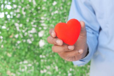 Kırmızı kalbi yeşil arka planda tutan adam. 