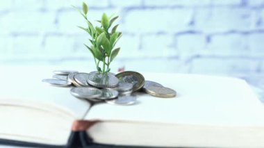 Bozukluklarla büyüyen genç planı kapat.