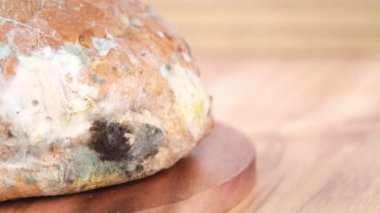  Küflü kahverengi ekmek. Bozulmuş ürünler