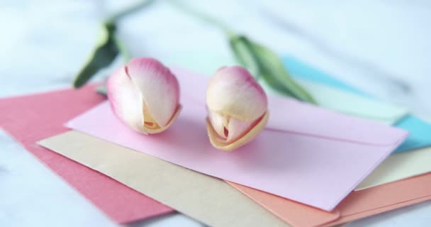 Kleurrijke envelop en tulpenbloem op tafel — Stockvideo