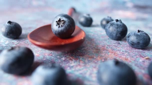 Крупним планом свіжа блакитна ягода на ложці — стокове відео