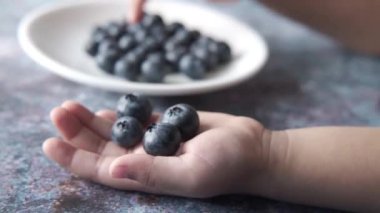 Çocuk eli ahşap arka planda taze böğürtlen tutuyor 