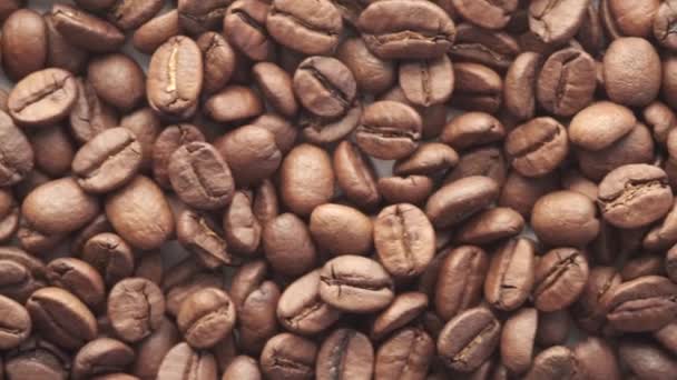 コピースペースのある白い背景に新鮮なコーヒー豆の上からの眺め. — ストック動画