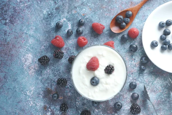 Nahaufnahme von frischem Joghurt mit blauen Beeren in einer Schüssel — Stockfoto