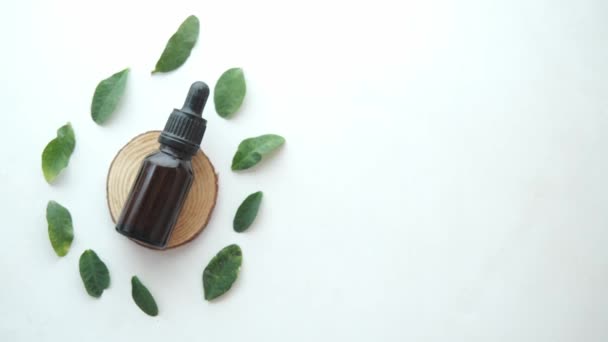 Eukalyptus eteriska oljor i en glasflaska med grönt blad på vit bakgrund — Stockvideo