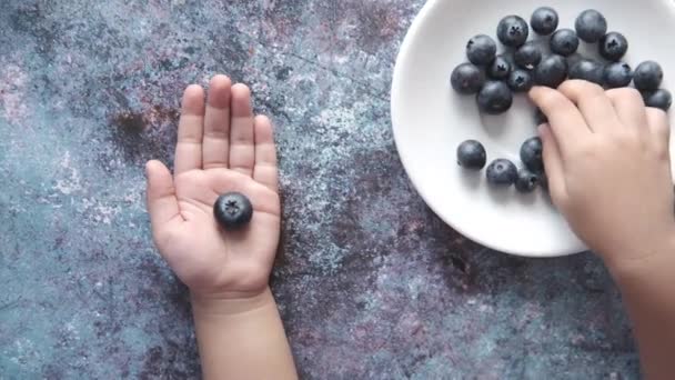 Vista dall'alto del bambino mettendo bacca blu fresca a portata di mano — Video Stock