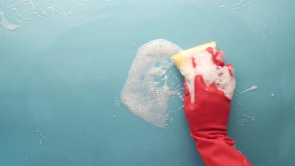Man i skyddande gummihandskar håller en svamp och ren blå yta — Stockvideo