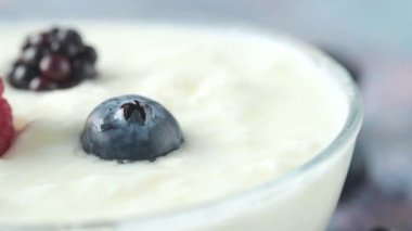 Bir kasede mavi böğürtlenli taze yoğurt. 