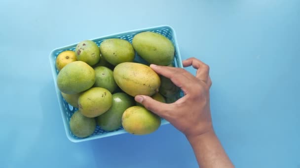 Свежий зеленый манго в миске на столе — стоковое видео