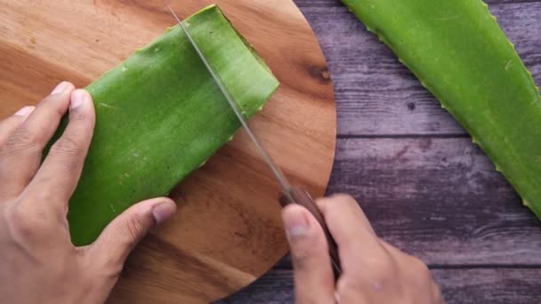 Cortar Aloe vera en rodajas en una tabla de cortar — Vídeo de stock