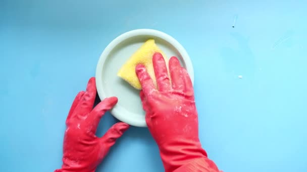 Spons, rubberen handschoenen en kleurrijke plaat op blauw — Stockvideo