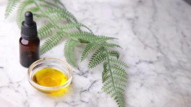  Beyaz arka planda yeşil yapraklı cam bir şişede gerekli okaliptüs yağları