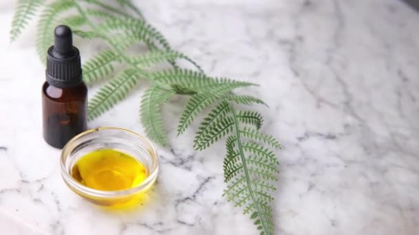 Eucalyptus etherische oliën in een glazen fles met groen blad op witte achtergrond — Stockvideo