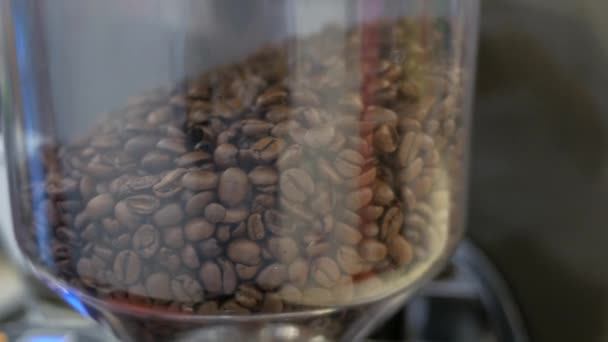 Verse koffiebonen in een glazen container — Stockvideo