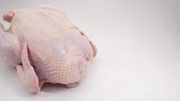 Rå hel kyckling på vit bakgrund — Stockvideo