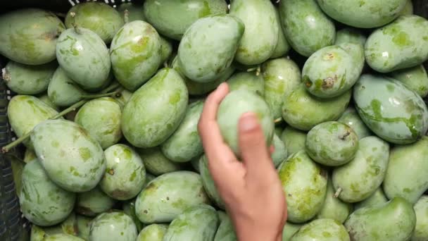 Ručně vybrat zelené mango z misky — Stock video