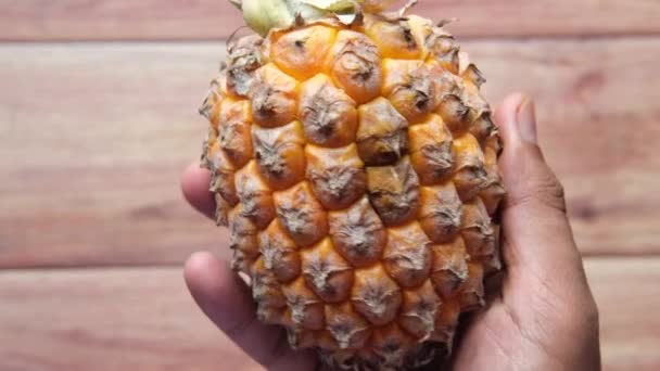 Handhållning Ananas närbild — Stockvideo