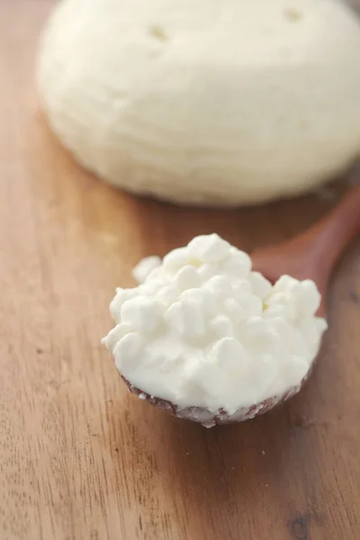 Close up of cottage cheese on a spoon on table — Stock Photo, Image