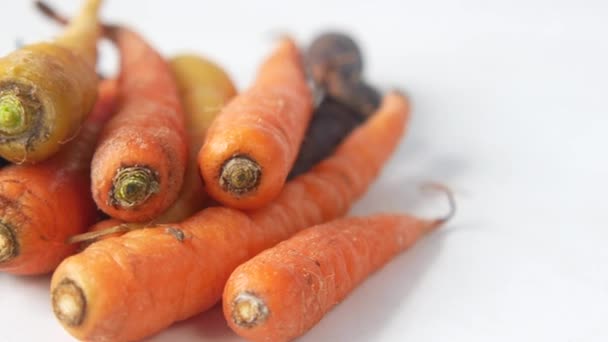 Змішана різнокольорова морква на білому тлі — стокове відео