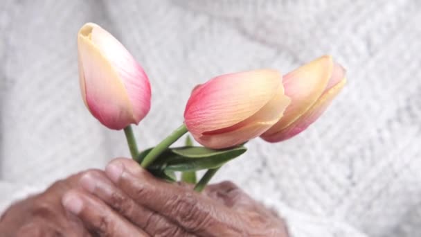 Senior womens hand holding tulip flower close up — Stock Video