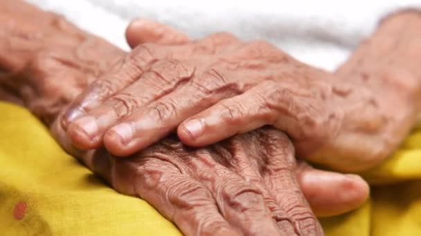 Close up of hands of a elderly person — Stock Video