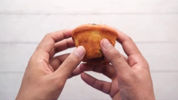 Manger des muffins aux myrtilles gros plan — Video